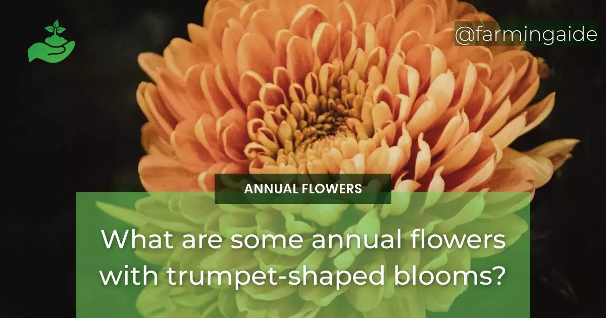 What are some annual flowers with trumpet-shaped blooms?