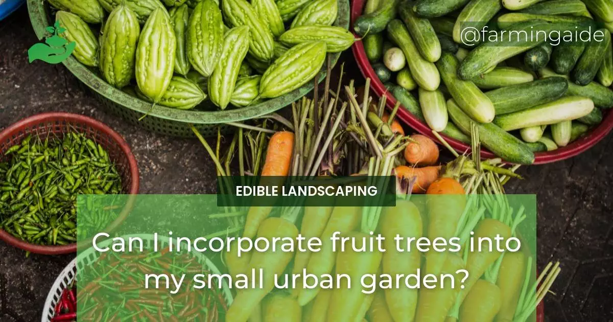 Can I incorporate fruit trees into my small urban garden?