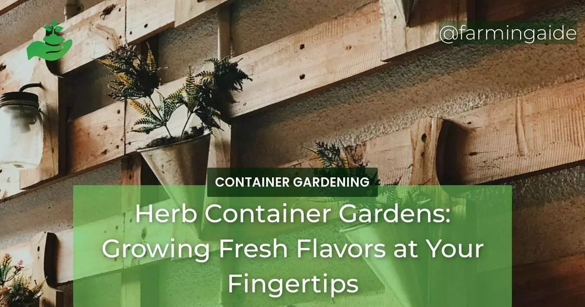 Herb Container Gardens: Growing Fresh Flavors at Your Fingertips