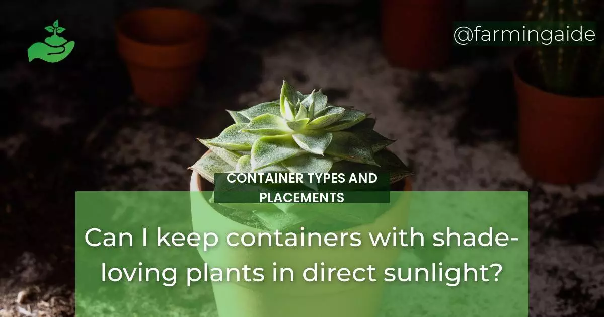 Can I keep containers with shade-loving plants in direct sunlight?