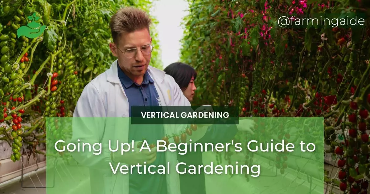 Going Up! A Beginner's Guide to Vertical Gardening