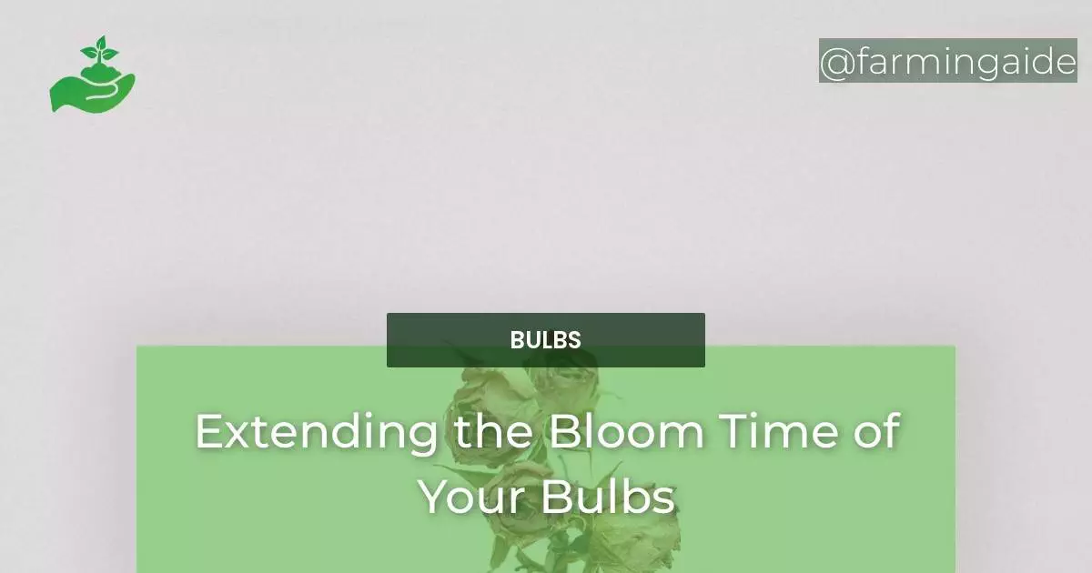 Extending the Bloom Time of Your Bulbs