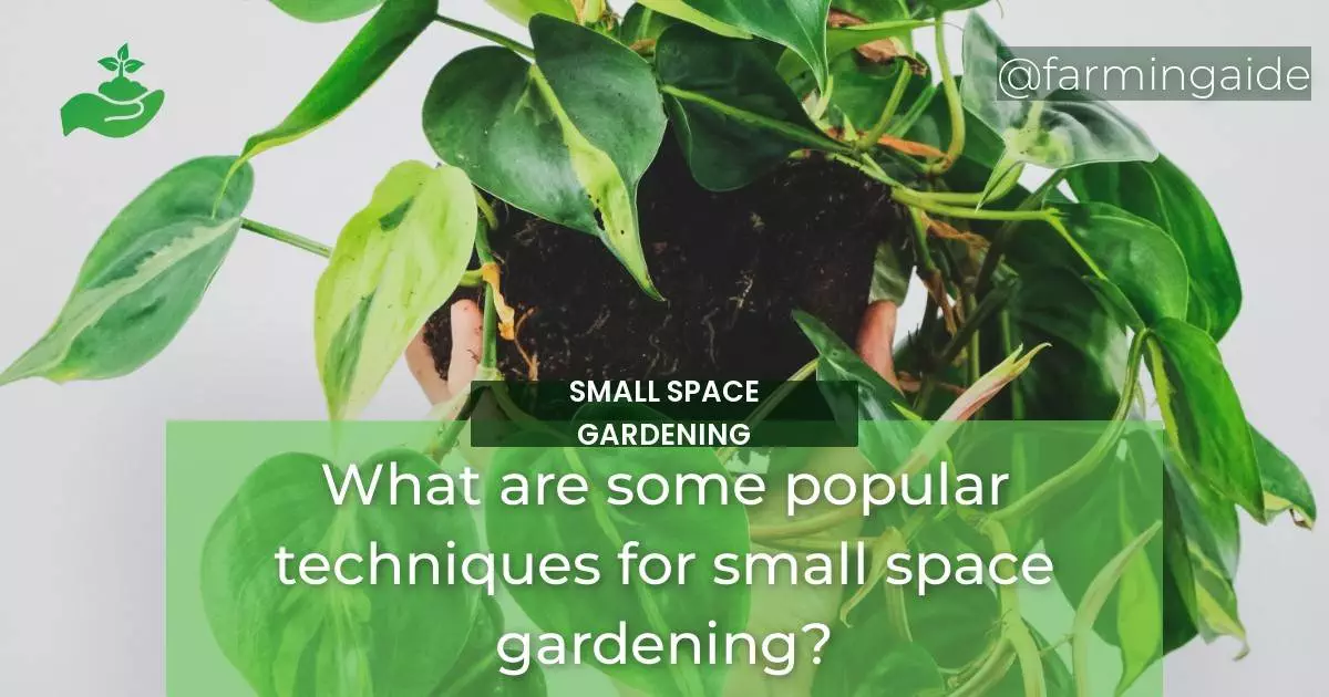 What are some popular techniques for small space gardening?
