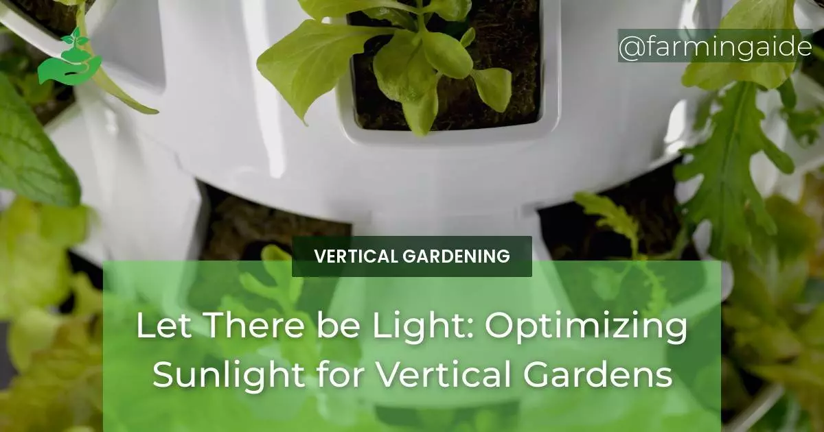 Let There be Light: Optimizing Sunlight for Vertical Gardens