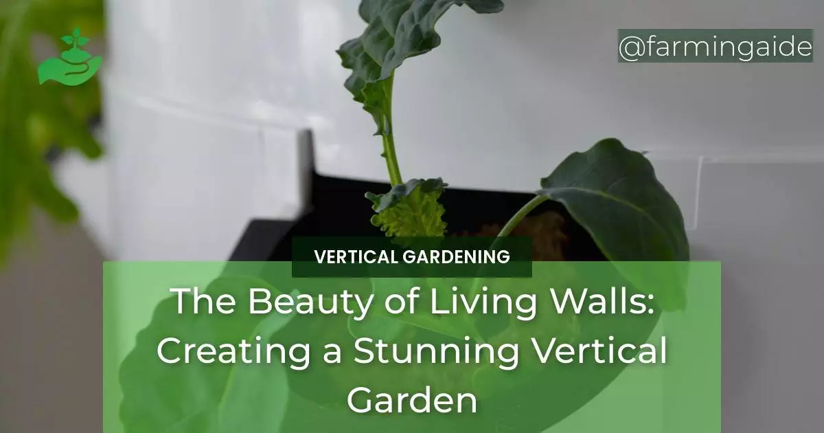 The Beauty of Living Walls: Creating a Stunning Vertical Garden