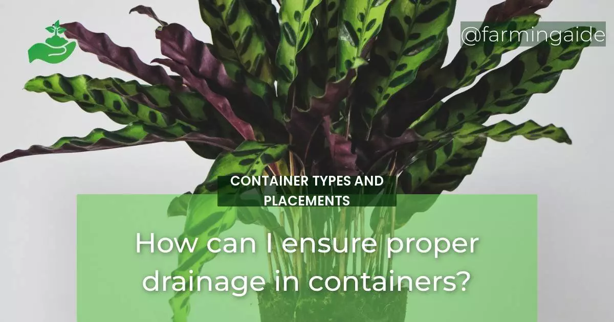 How can I ensure proper drainage in containers