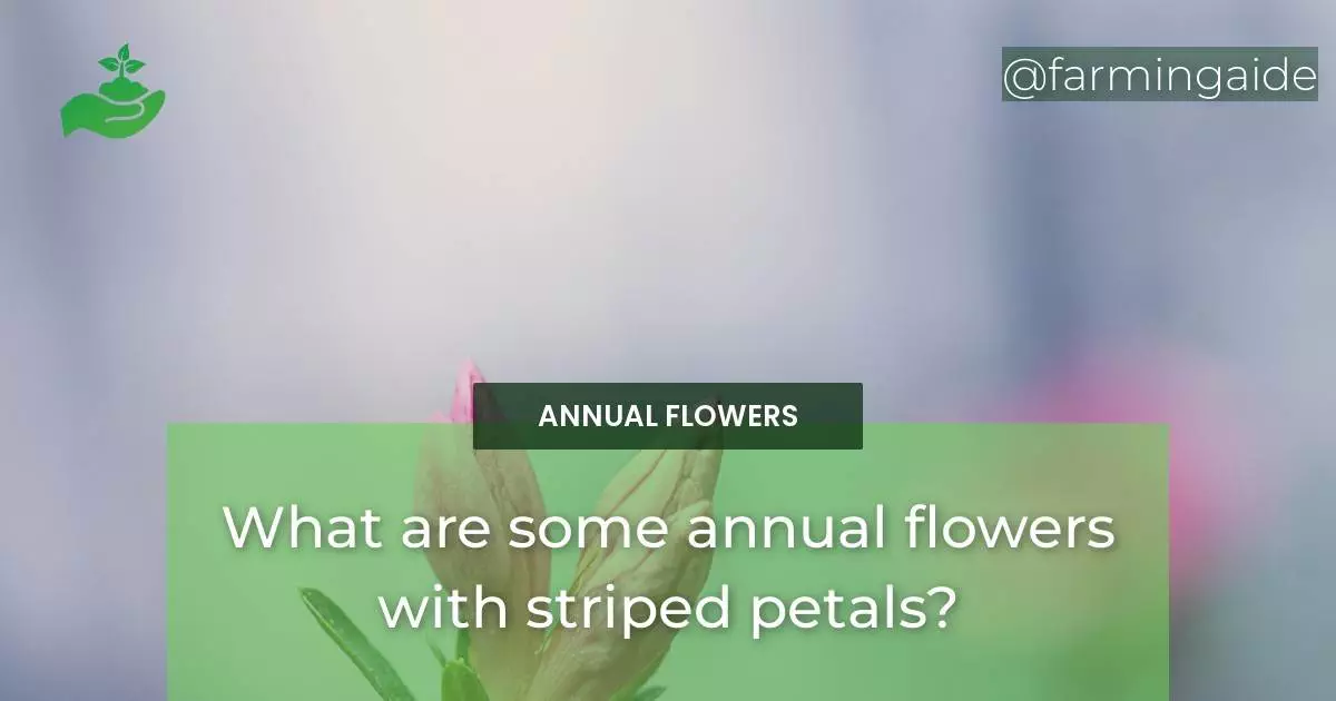 What are some annual flowers with striped petals?