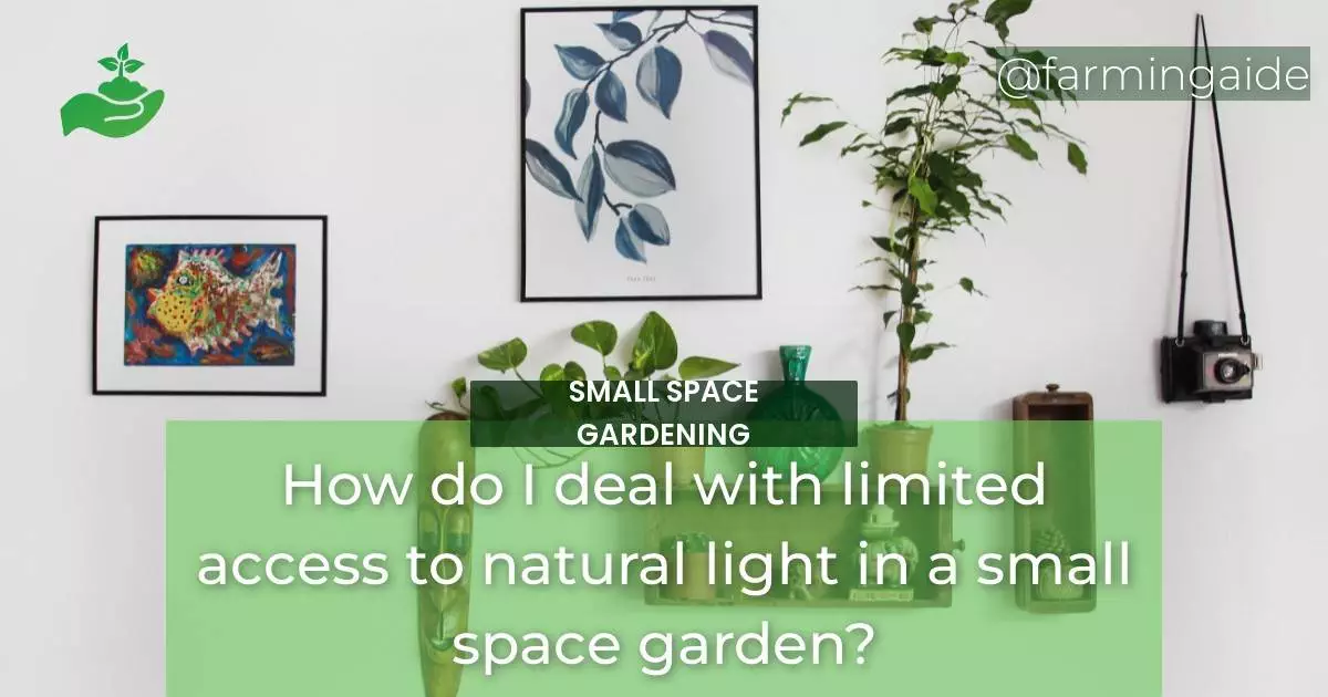 How do I deal with limited access to natural light in a small space garden?