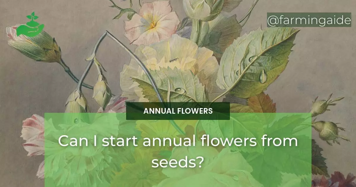 Can I start annual flowers from seeds?