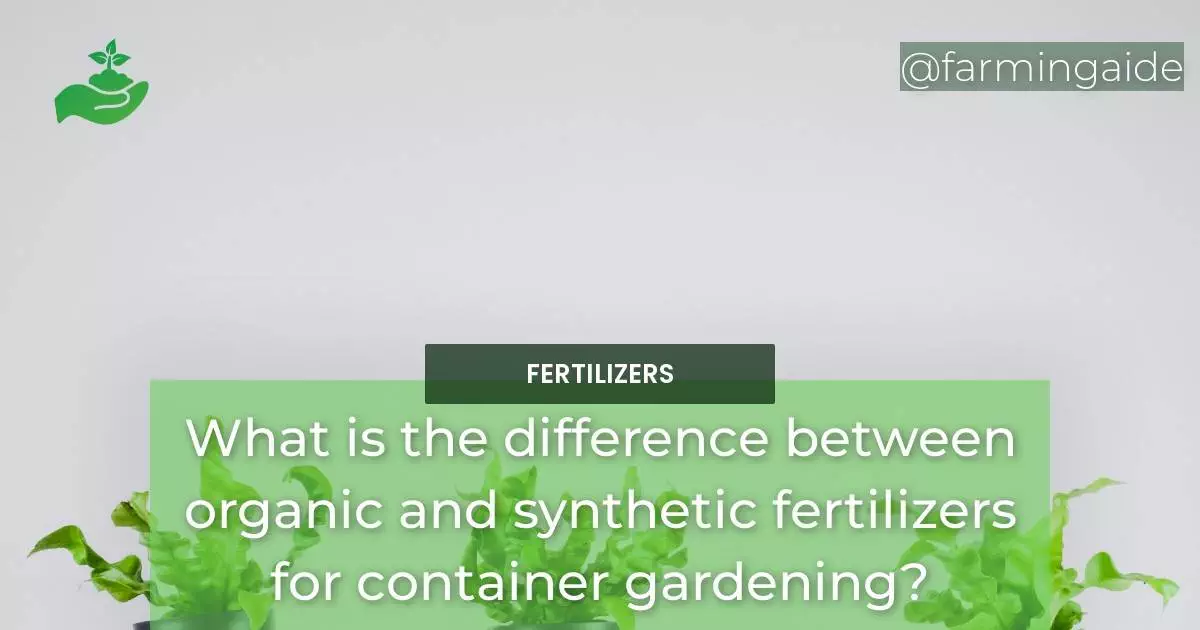 What is the difference between organic and synthetic fertilizers for container gardening?