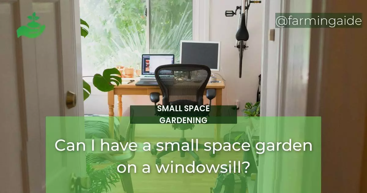 Can I have a small space garden on a windowsill?