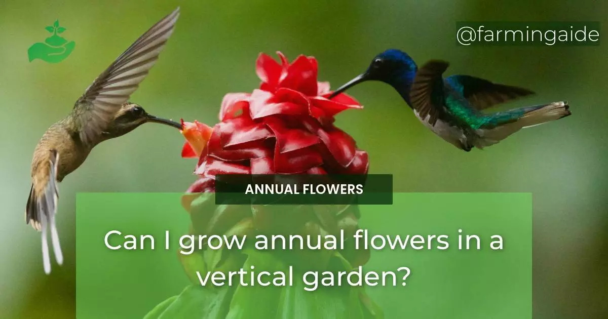 Can I grow annual flowers in a vertical garden?