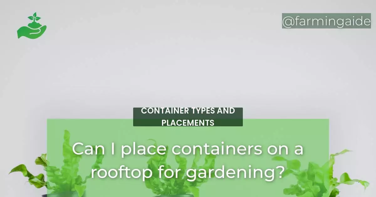 Can I place containers on a rooftop for gardening?