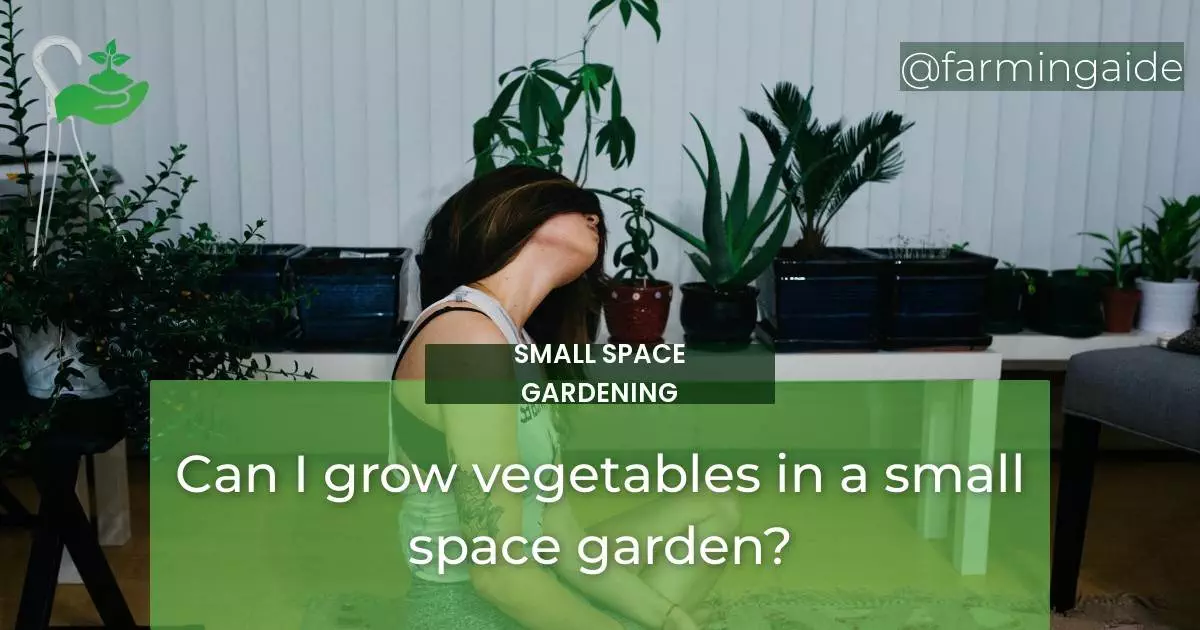 Can I grow vegetables in a small space garden?