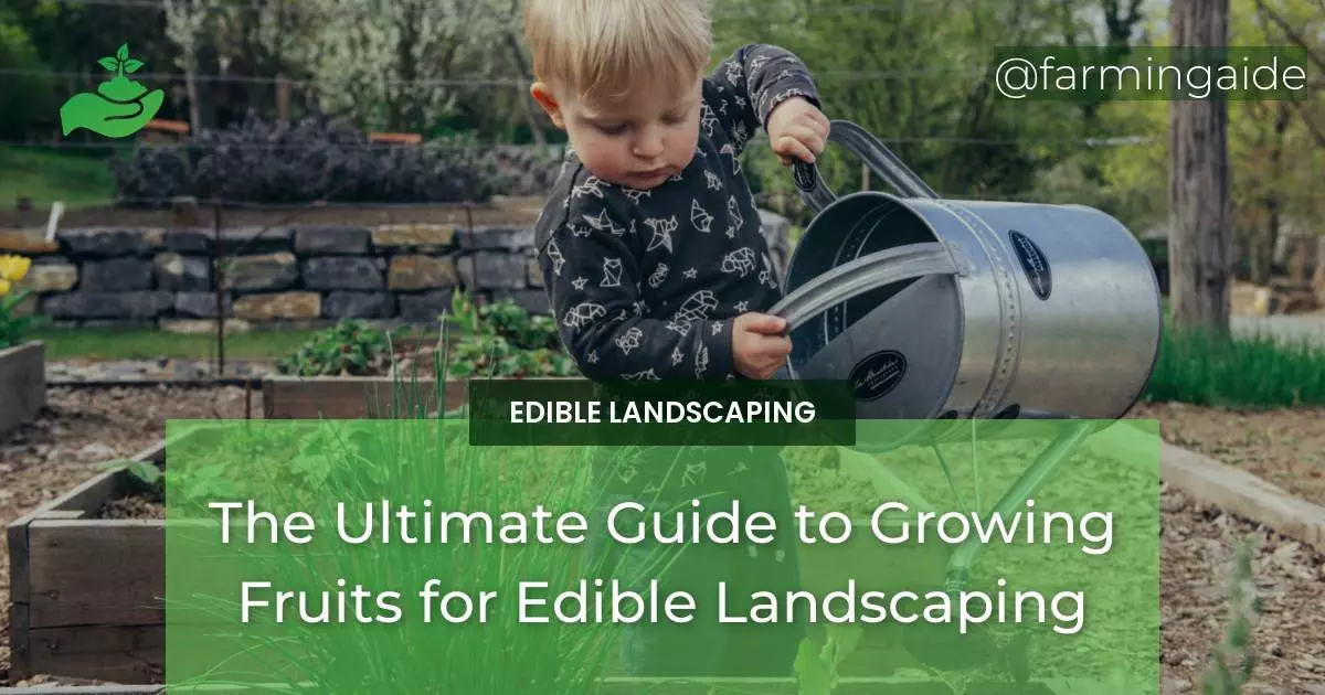 The Ultimate Guide to Growing Fruits for Edible Landscaping