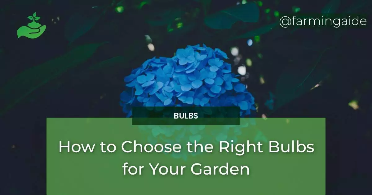How to Choose the Right Bulbs for Your Garden