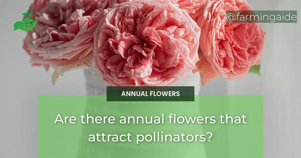 Are there annual flowers that attract pollinators?