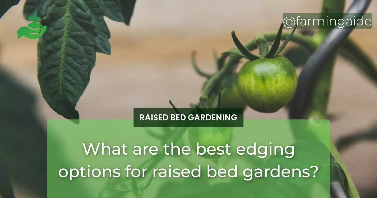 What are the best edging options for raised bed gardens?