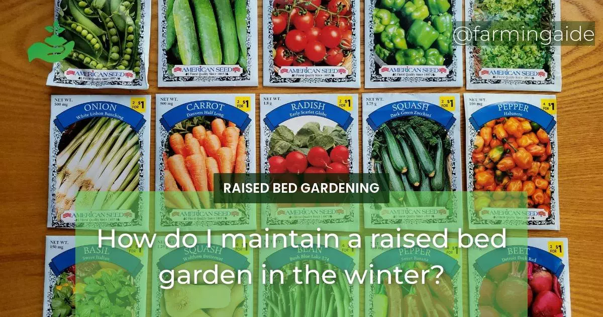 How do I maintain a raised bed garden in the winter?