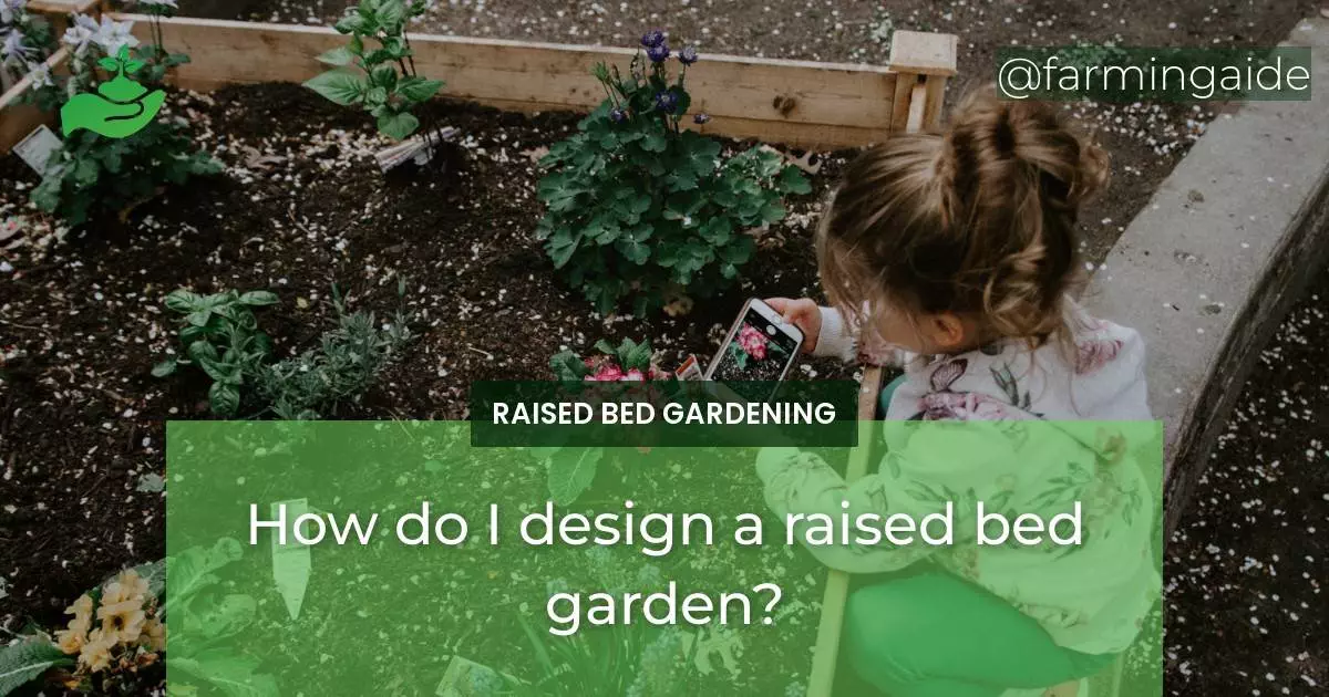 How do I design a raised bed garden?