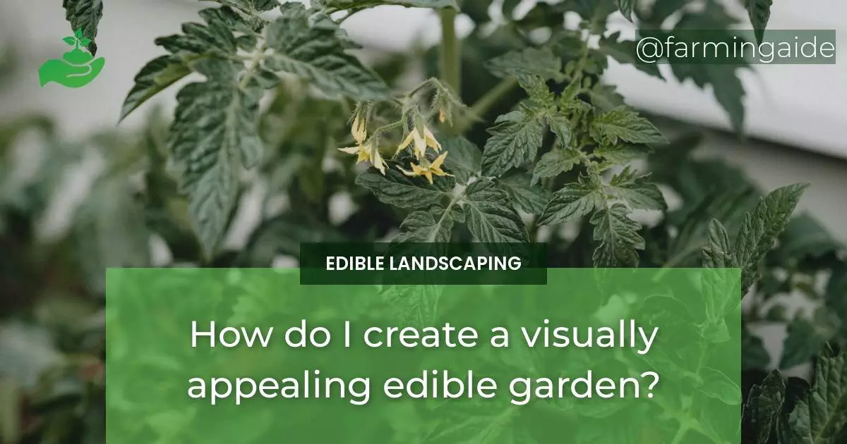 How do I create a visually appealing edible garden?