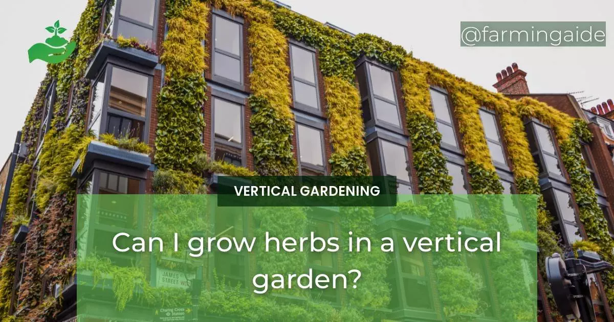 Can I grow herbs in a vertical garden?