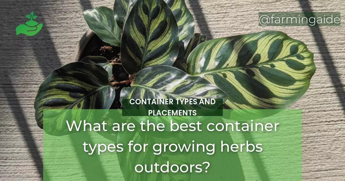 What are the best container types for growing herbs outdoors?