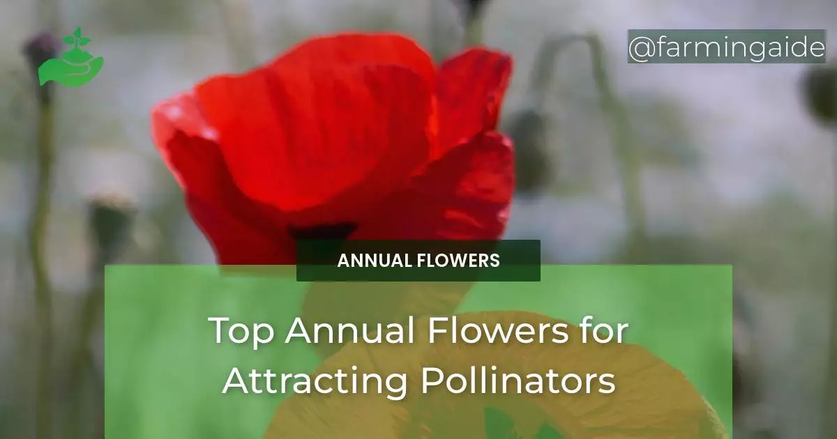 Top Annual Flowers for Attracting Pollinators