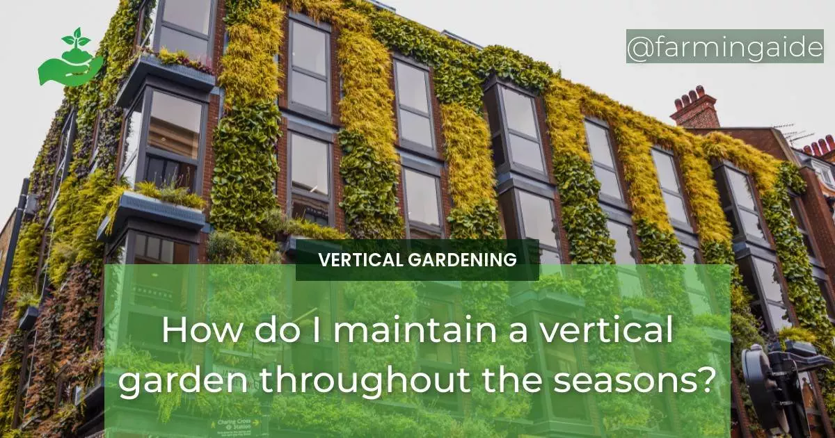 How do I maintain a vertical garden throughout the seasons?