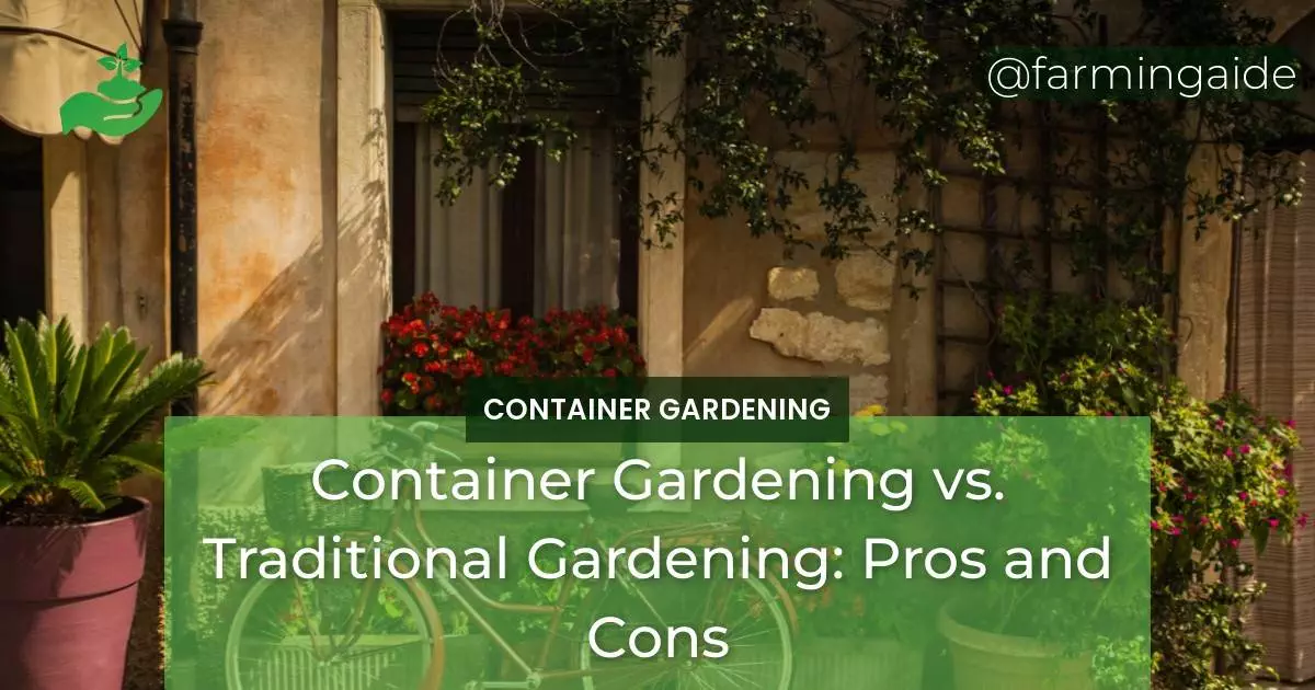 Container Gardening vs. Traditional Gardening: Pros and Cons