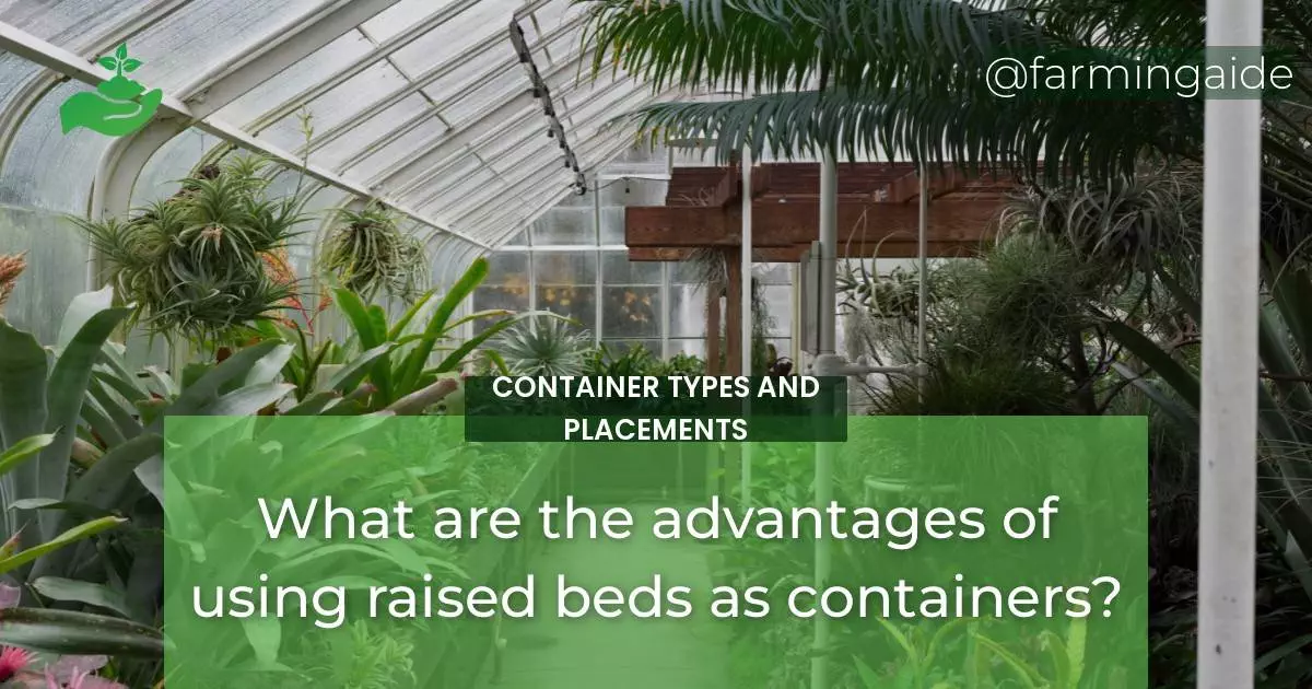 What are the advantages of using raised beds as containers?