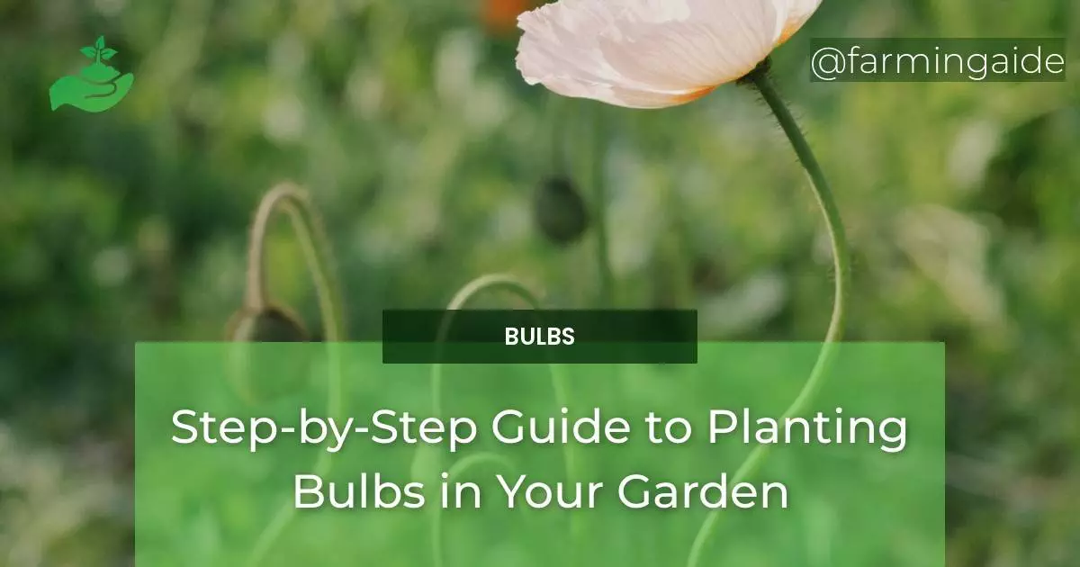 Step-by-Step Guide to Planting Bulbs in Your Garden