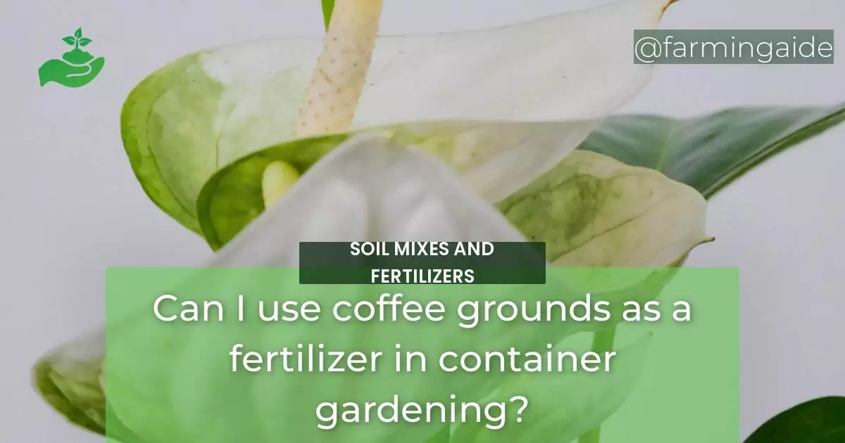 Can I use coffee grounds as a fertilizer in container gardening?