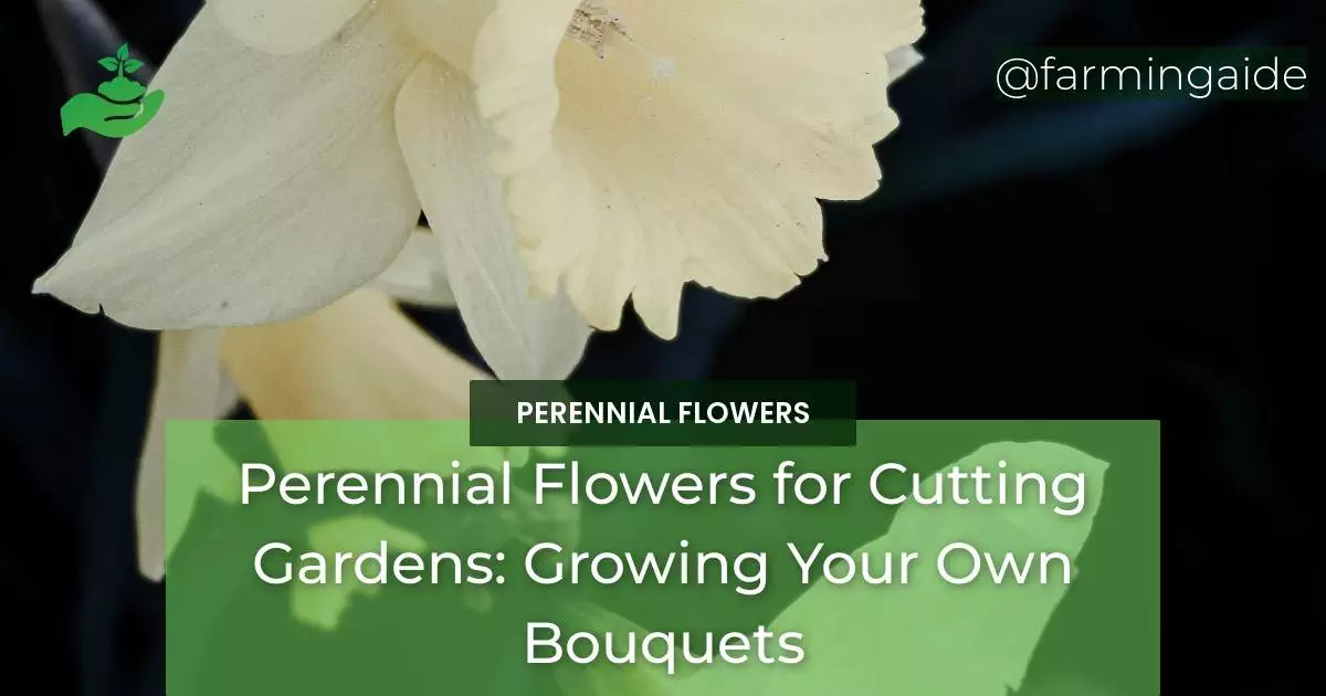 Perennial Flowers for Cutting Gardens: Growing Your Own Bouquets