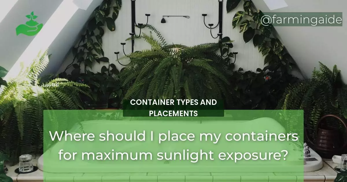 Where should I place my containers for maximum sunlight exposure?