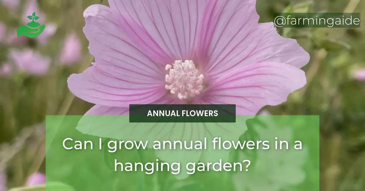 Can I grow annual flowers in a hanging garden?