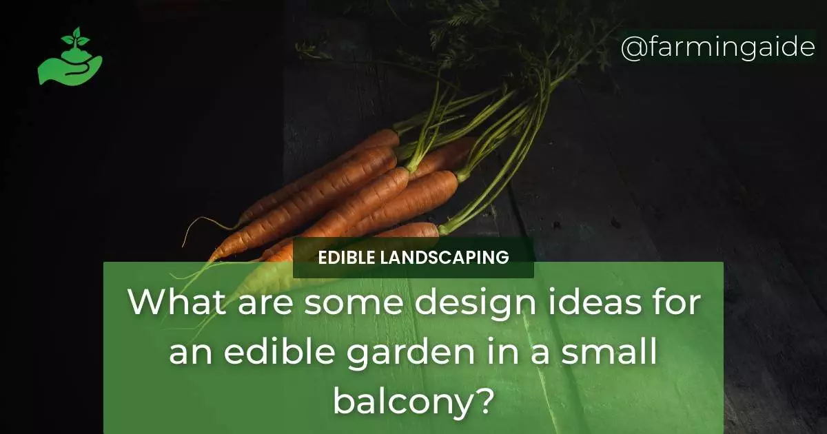 What are some design ideas for an edible garden in a small balcony?