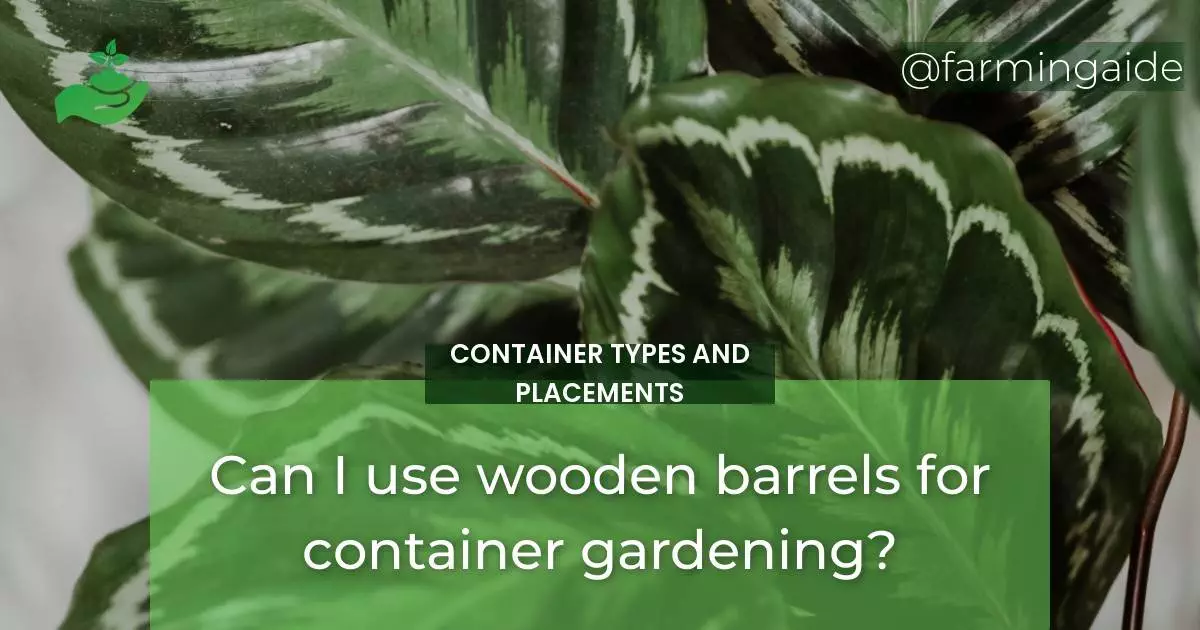 Can I use wooden barrels for container gardening?