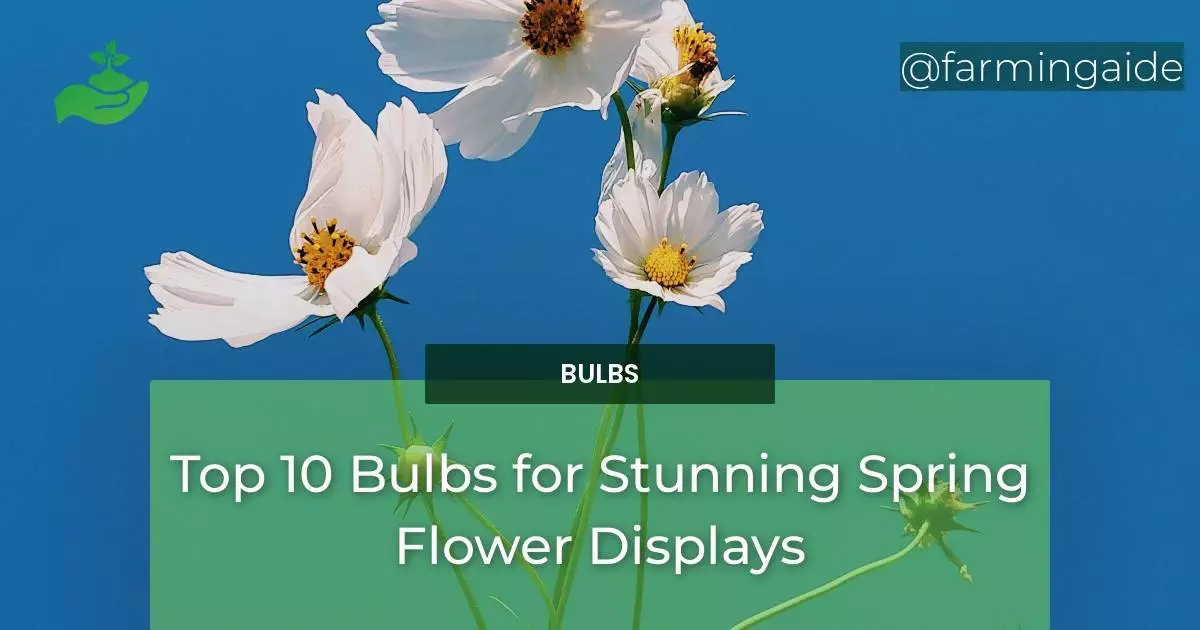Top 10 Bulbs for Stunning Spring Flower Displays