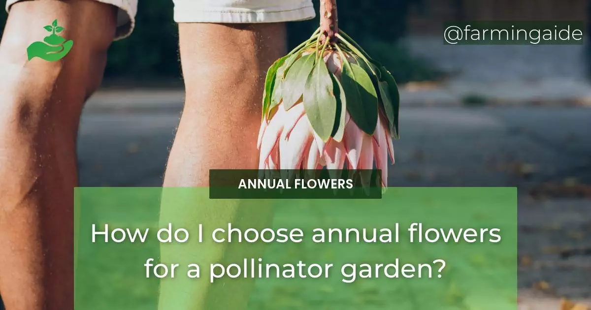 How do I choose annual flowers for a pollinator garden?