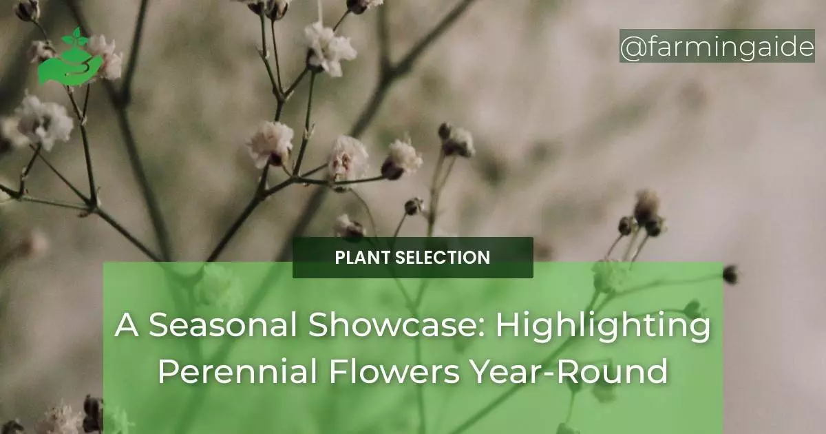 A Seasonal Showcase: Highlighting Perennial Flowers Year-Round