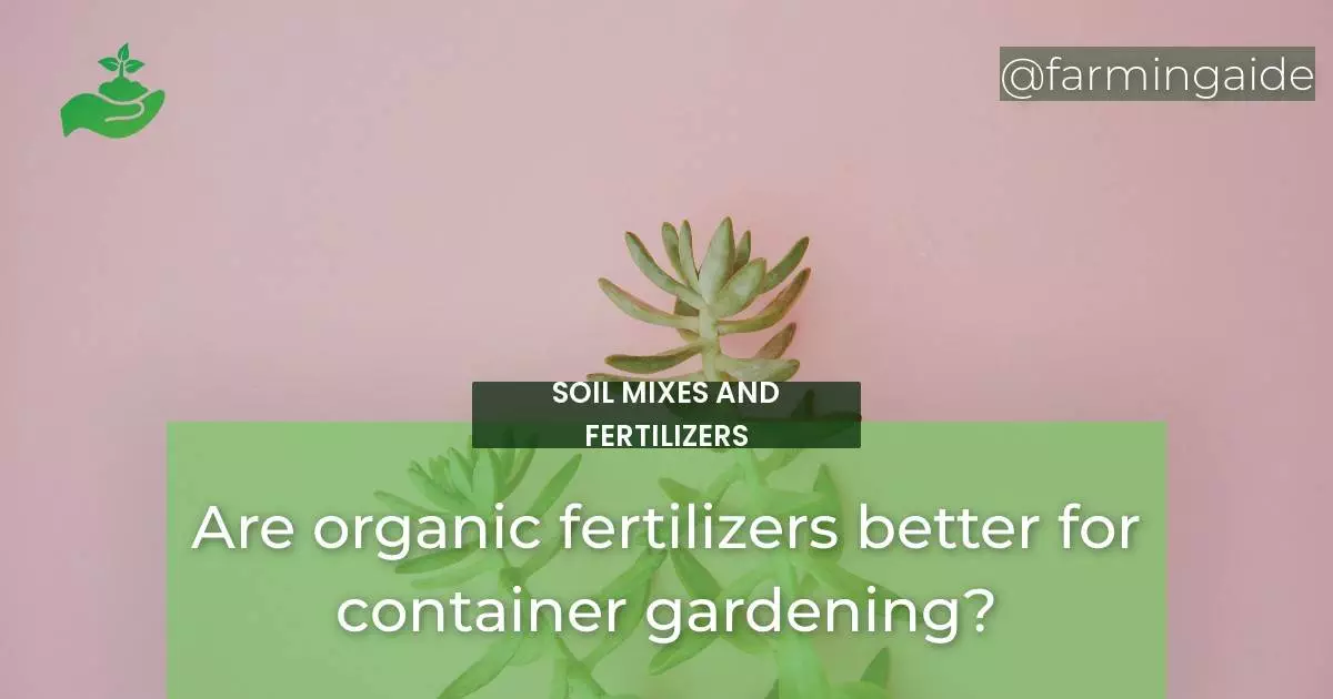 Are organic fertilizers better for container gardening?