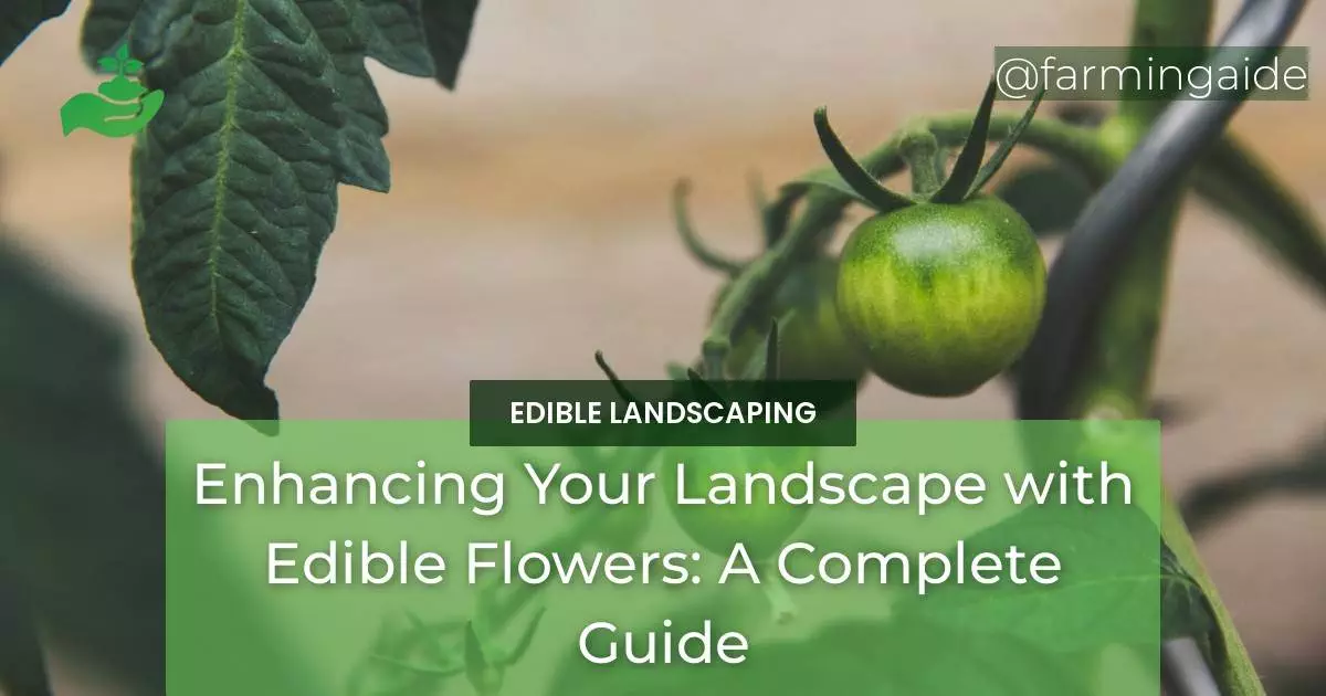 Enhancing Your Landscape with Edible Flowers: A Complete Guide