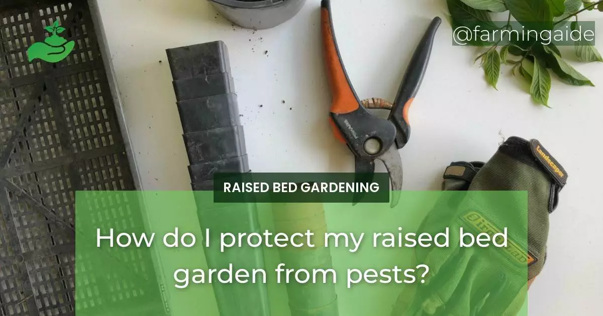 How do I protect my raised bed garden from pests?