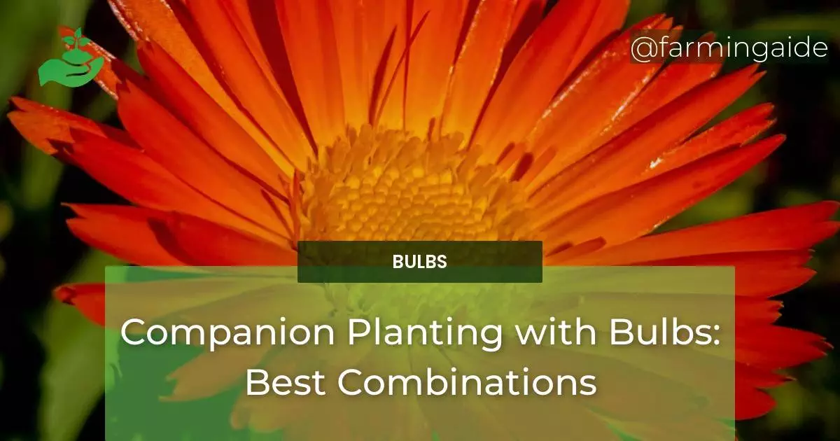 Companion Planting with Bulbs: Best Combinations