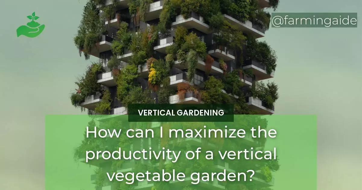 How can I maximize the productivity of a vertical vegetable garden?