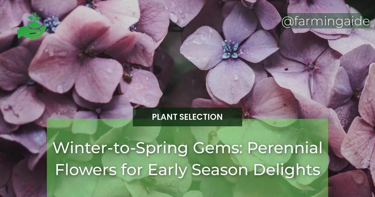 Winter-to-Spring Gems: Perennial Flowers for Early Season Delights