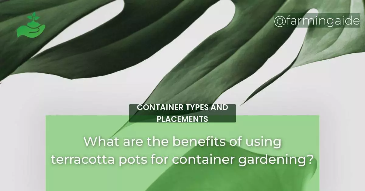What are the benefits of using terracotta pots for container gardening