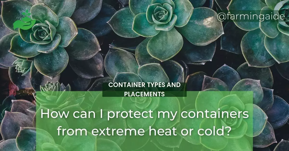 How can I protect my containers from extreme heat or cold?