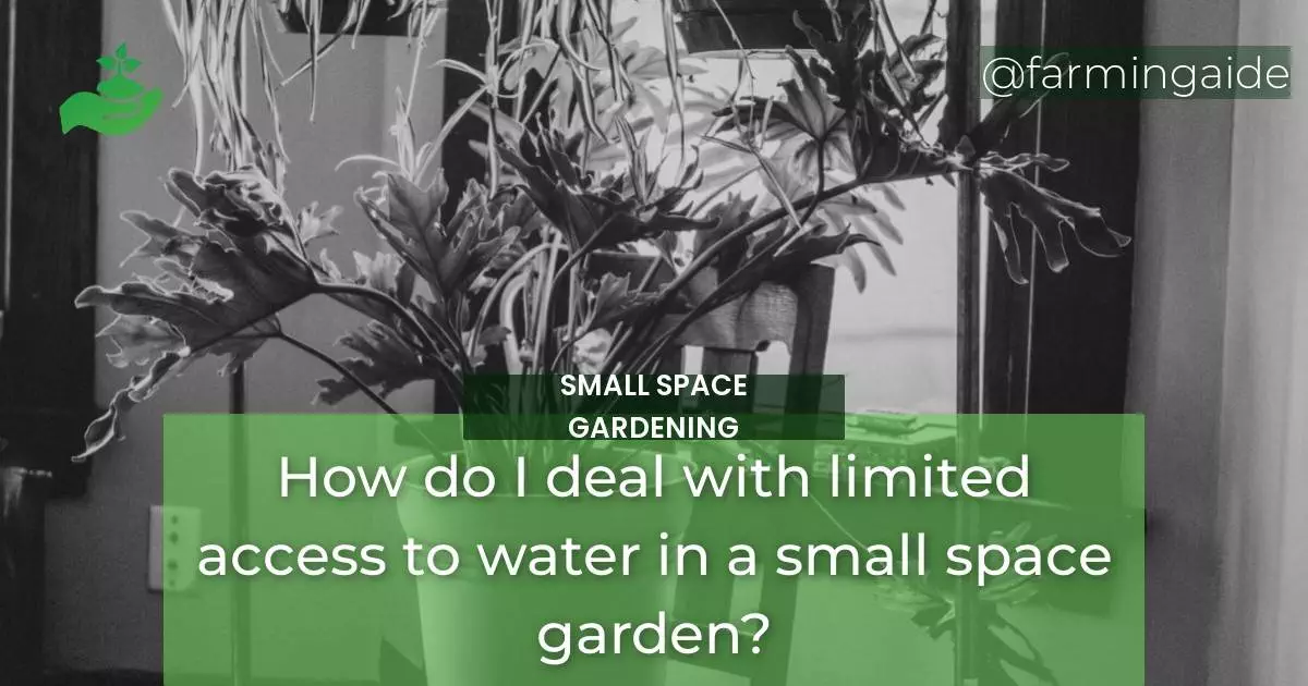 How do I deal with limited access to water in a small space garden?